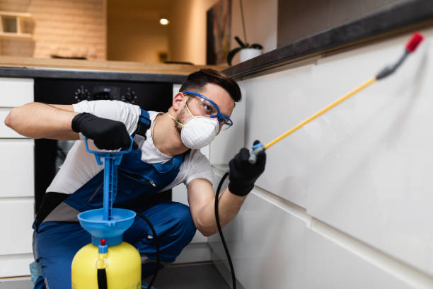 Best Best Pest Control Companies  in Stanford, KY