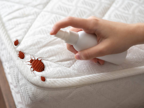 Pest Control Cost in Stanford, KY