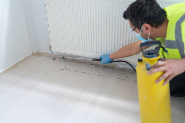 Best Pest Control Treatment  in Stanford, KY